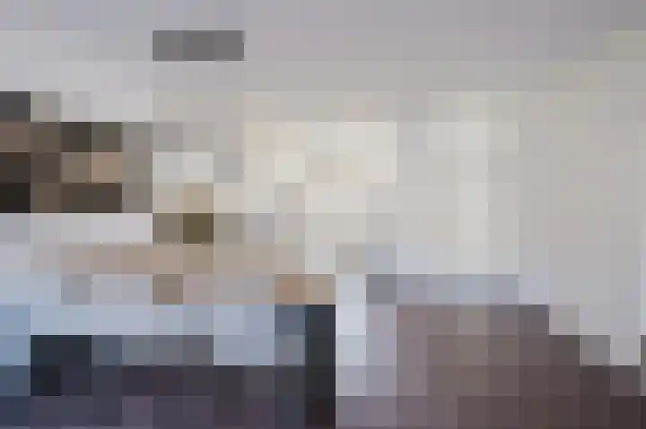 Rivierlaan 30 Spijkenisse thumbnail 21