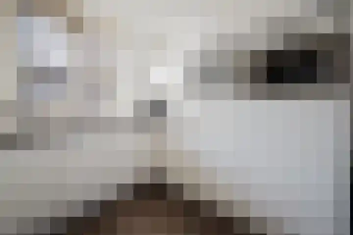 Rivierlaan 30 Spijkenisse thumbnail 23