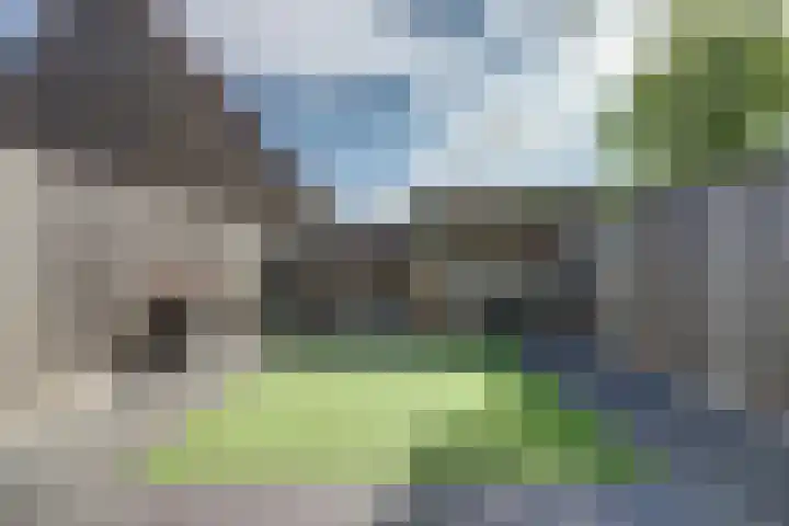 Rivierlaan 4 Spijkenisse thumbnail 15