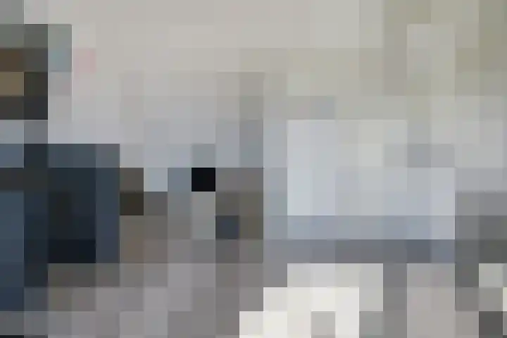 Rivierlaan 4 Spijkenisse thumbnail 24