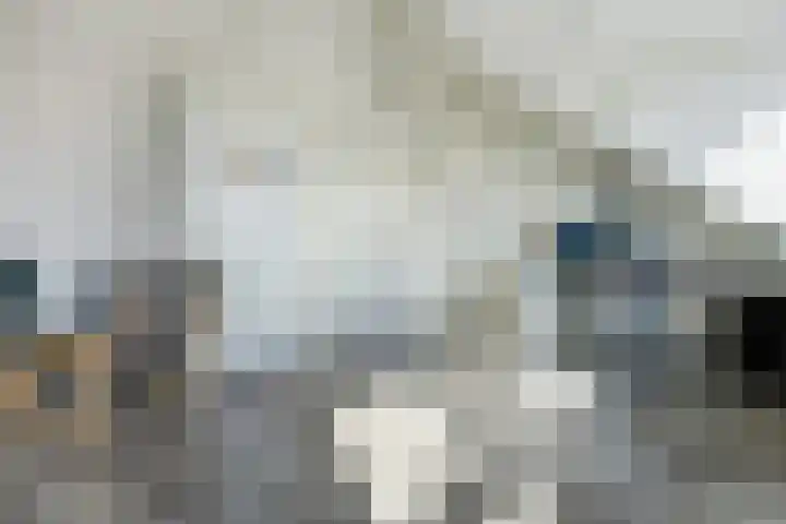 Rivierlaan 4 Spijkenisse thumbnail 25