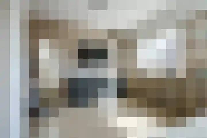 Rivierlaan 4 Spijkenisse thumbnail 29