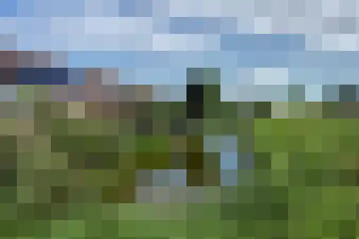 Rivierlaan 4 Spijkenisse thumbnail 32