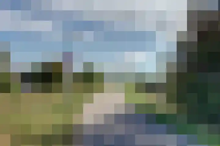 Rivierlaan 4 Spijkenisse thumbnail 33