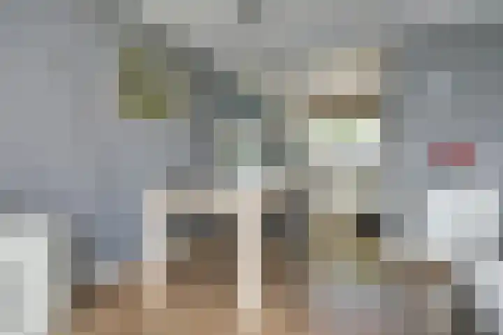 Rivierlaan 4 Spijkenisse thumbnail 9