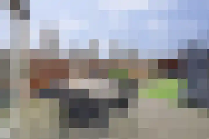 Rivierlaan 74 Spijkenisse thumbnail 14