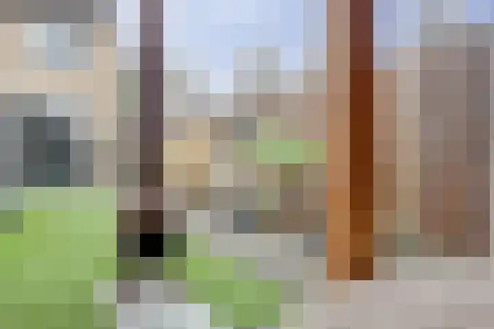 Rivierlaan 74 Spijkenisse thumbnail 16