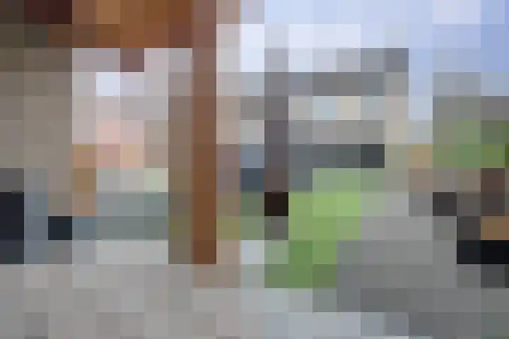 Rivierlaan 74 Spijkenisse thumbnail 18