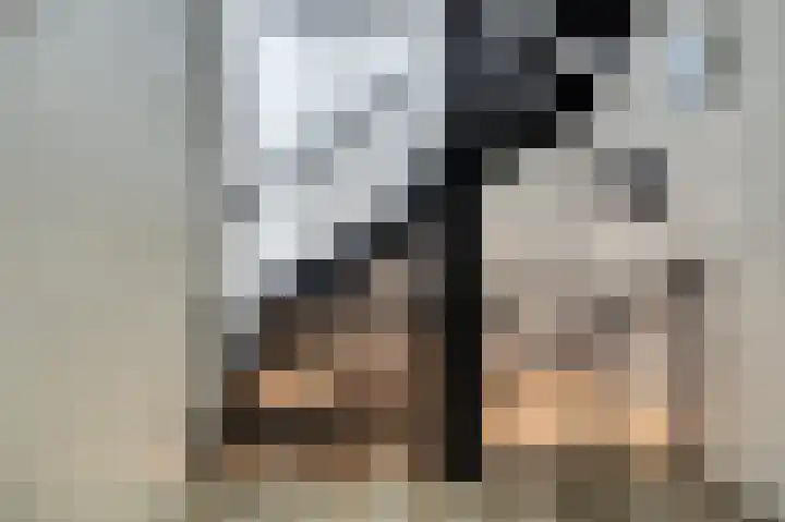 Rivierlaan 74 Spijkenisse thumbnail 24