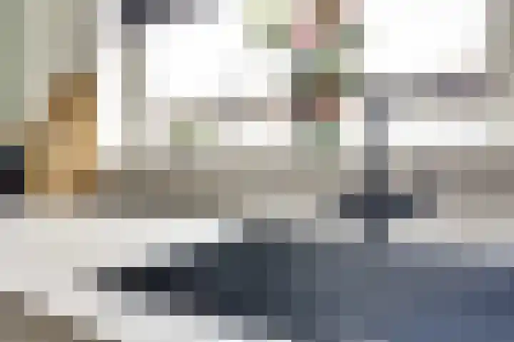 Rivierlaan 74 Spijkenisse thumbnail 6