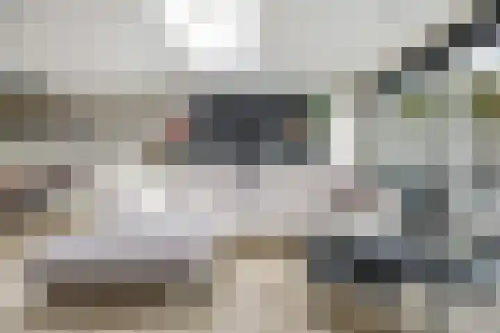 Rivierlaan 76 Spijkenisse thumbnail 13