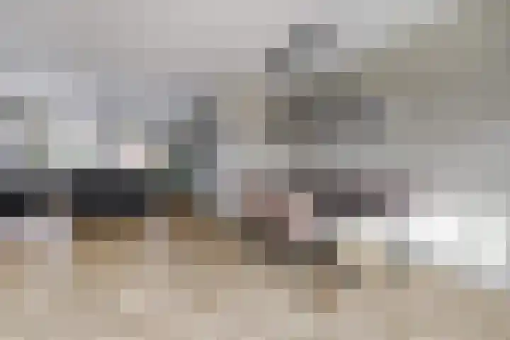 Rivierlaan 76 Spijkenisse thumbnail 14