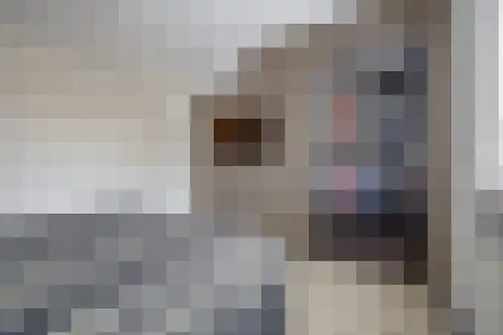 Rivierlaan 76 Spijkenisse thumbnail 23