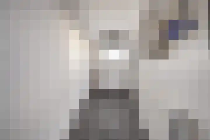 Rivierlaan 76 Spijkenisse thumbnail 32