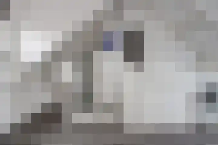 Rivierlaan 76 Spijkenisse thumbnail 34