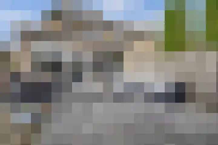 Rivierlaan 76 Spijkenisse thumbnail 37