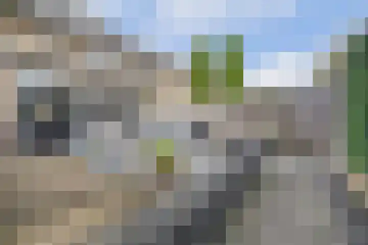 Rivierlaan 76 Spijkenisse thumbnail 38