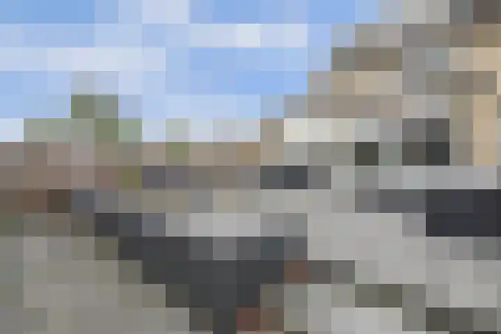 Rivierlaan 76 Spijkenisse thumbnail 39