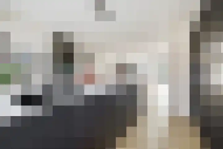 Rivierlaan 76 Spijkenisse thumbnail 4