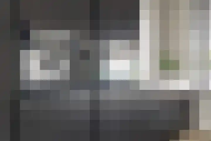 Rivierlaan 76 Spijkenisse thumbnail 5