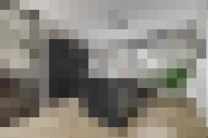 Rivierlaan 76 Spijkenisse thumbnail 6