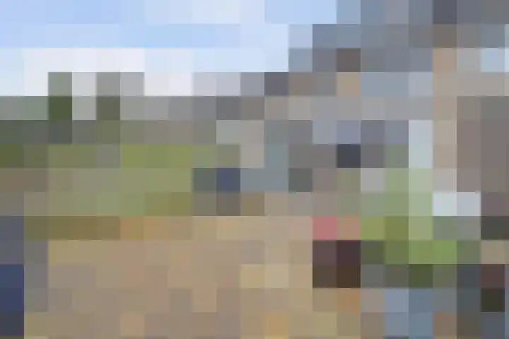 Rivierlaan 84 Spijkenisse thumbnail 18