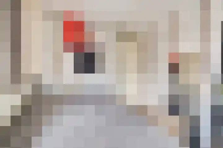 Rivierlaan 84 Spijkenisse thumbnail 32
