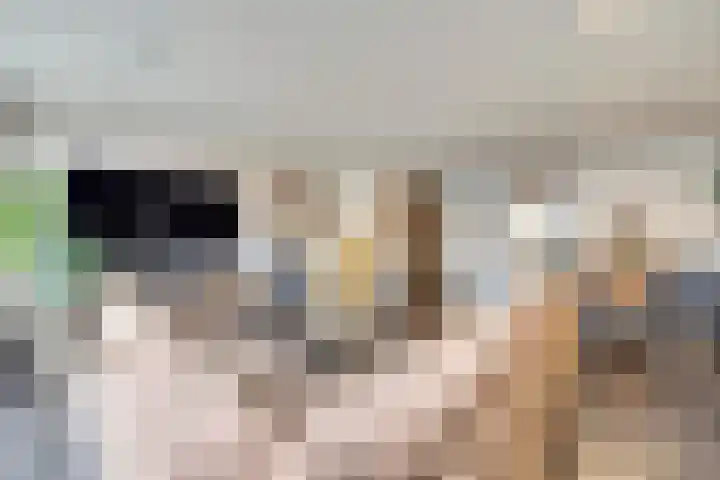 Rivierlaan 84 Spijkenisse thumbnail 8