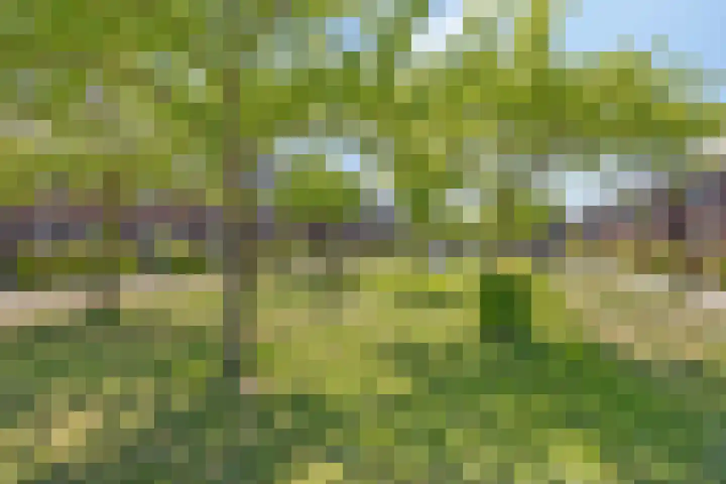 Rivierloop 50 Kampen thumbnail 40