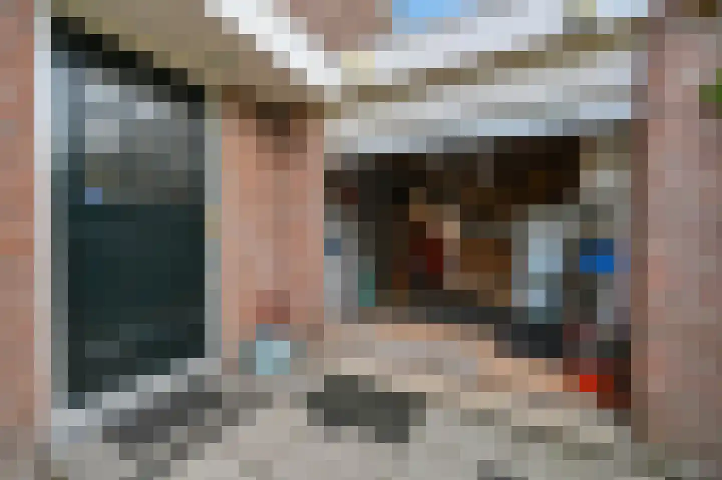 Riviermos 10 Nieuwerkerk aan den IJssel thumbnail 31