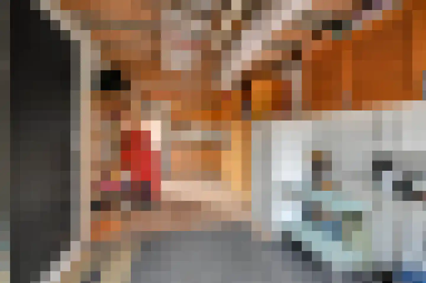 Riviermos 10 Nieuwerkerk aan den IJssel thumbnail 32