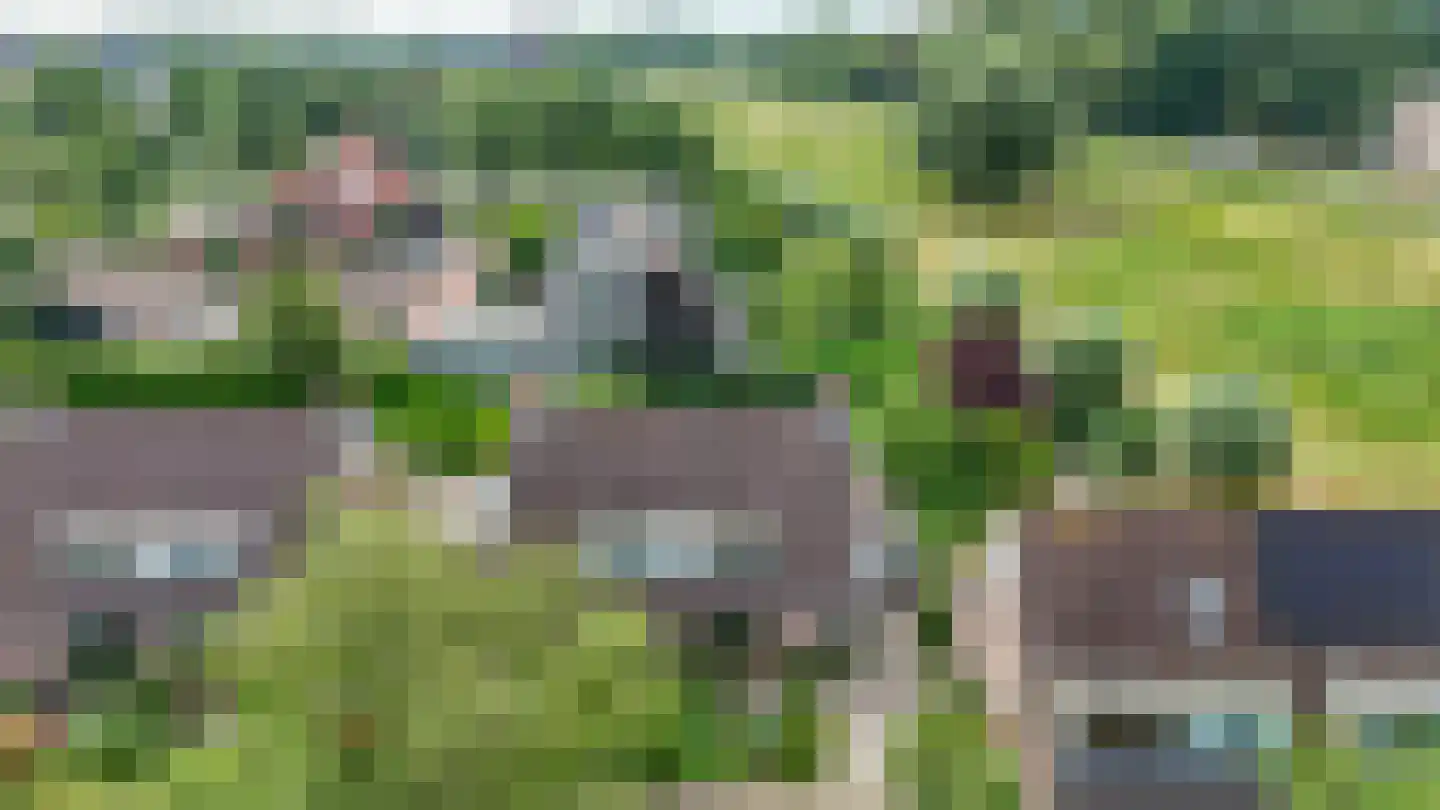 Riviermos 10 Nieuwerkerk aan den IJssel thumbnail 36