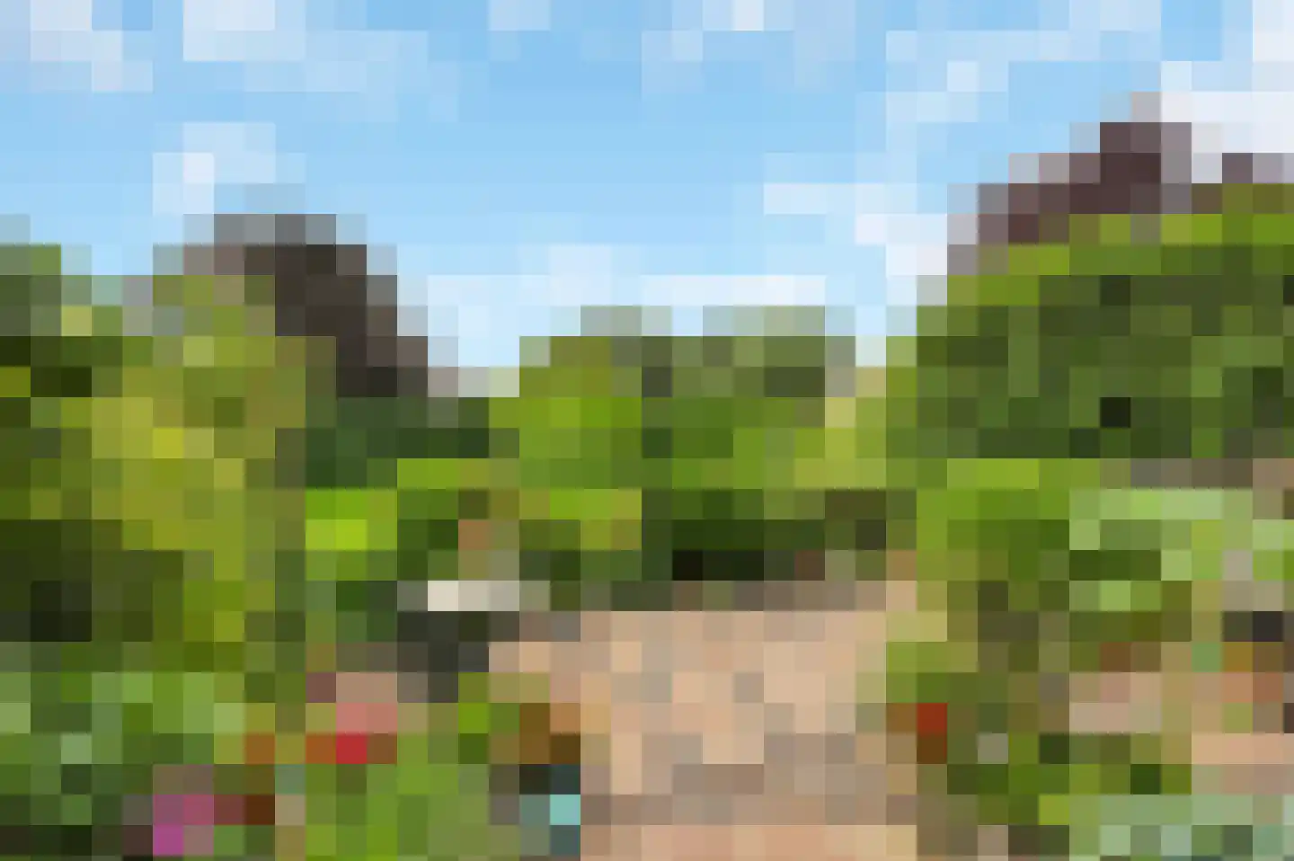 Riviermos 10 Nieuwerkerk aan den IJssel thumbnail 4