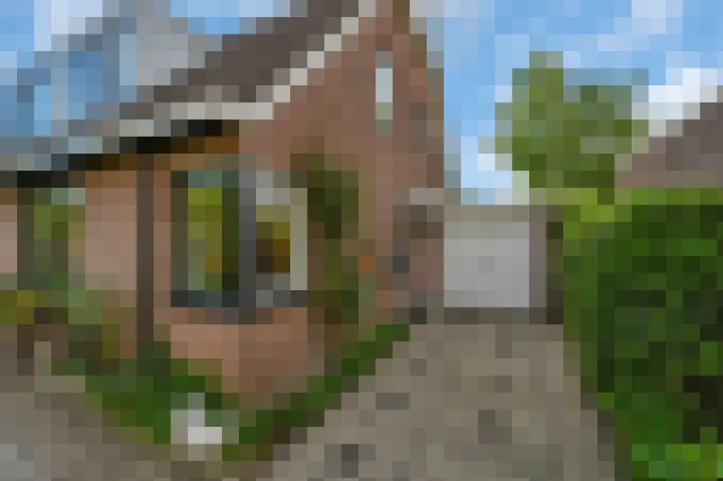 Riviermos 10 Nieuwerkerk aan den IJssel thumbnail 5