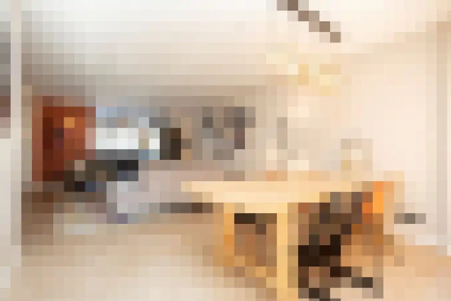 Riviermos 14 Bergschenhoek thumbnail 14