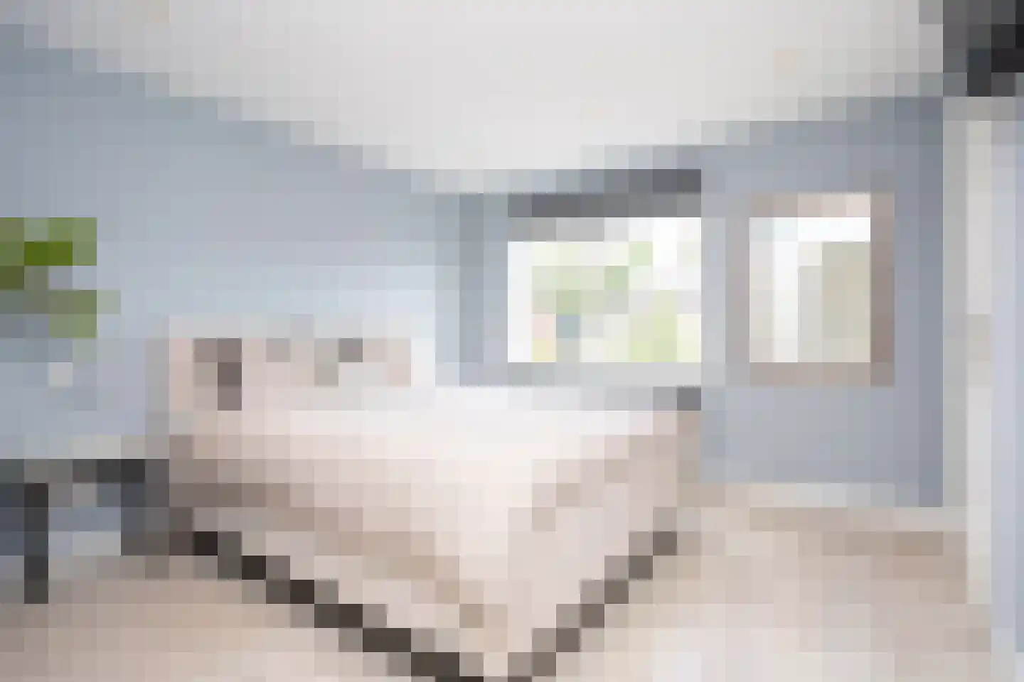 Riviermos 14 Bergschenhoek thumbnail 20