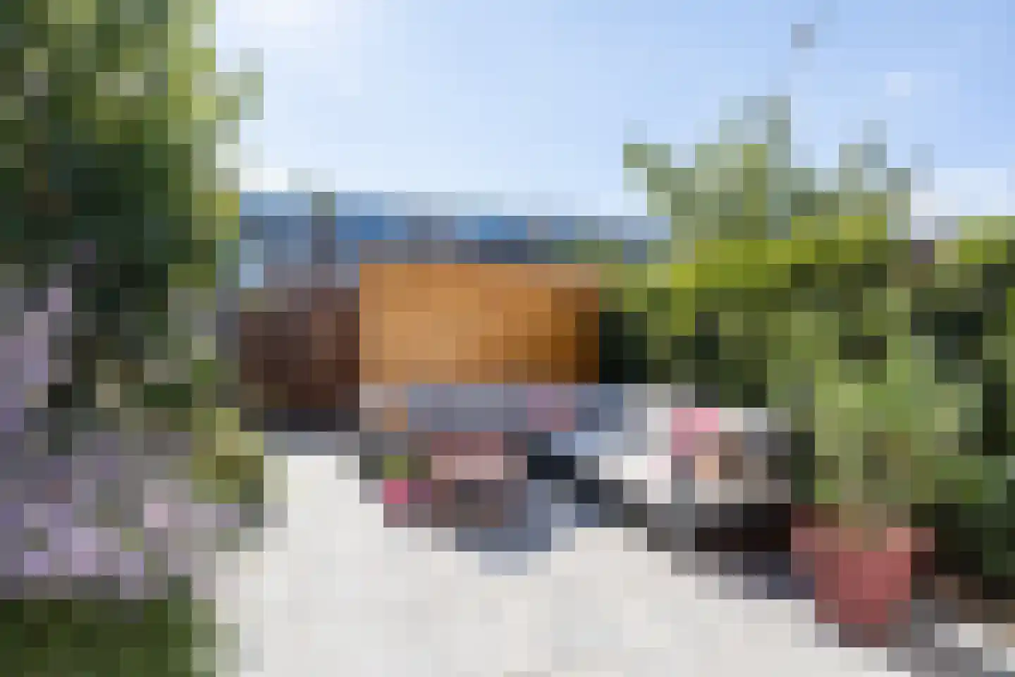 Riviermos 14 Bergschenhoek thumbnail 4