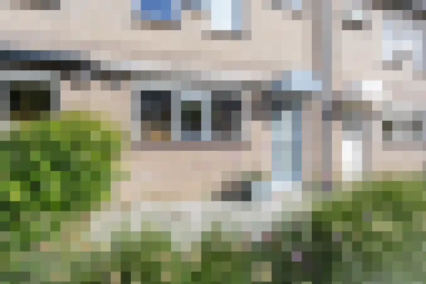 Riviermos 14 Bergschenhoek thumbnail 5
