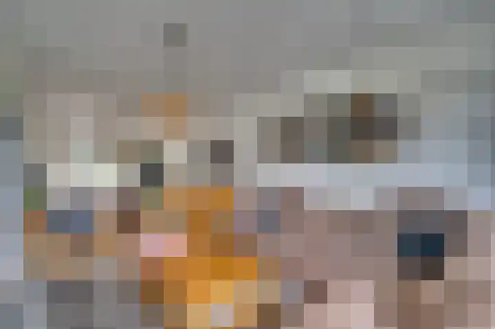 Riviersingel 21 Tegelen thumbnail 10