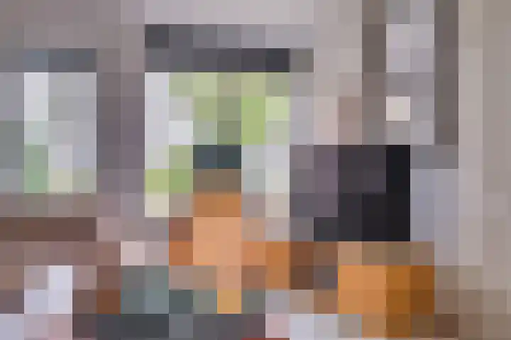 Riviersingel 21 Tegelen thumbnail 9
