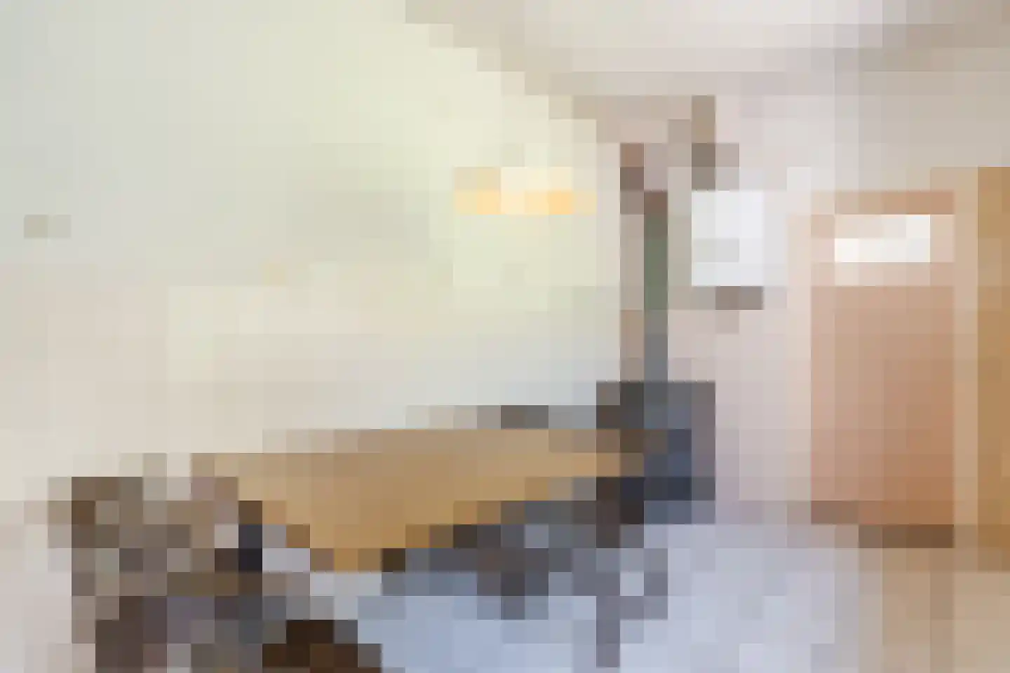 Rivierstraat 2 Eindhoven thumbnail 10
