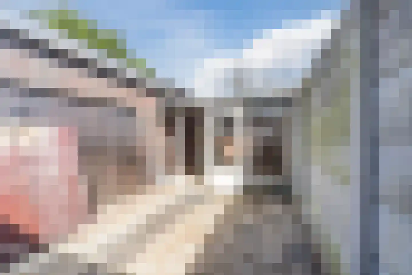 Rivierstraat 2 Eindhoven thumbnail 42