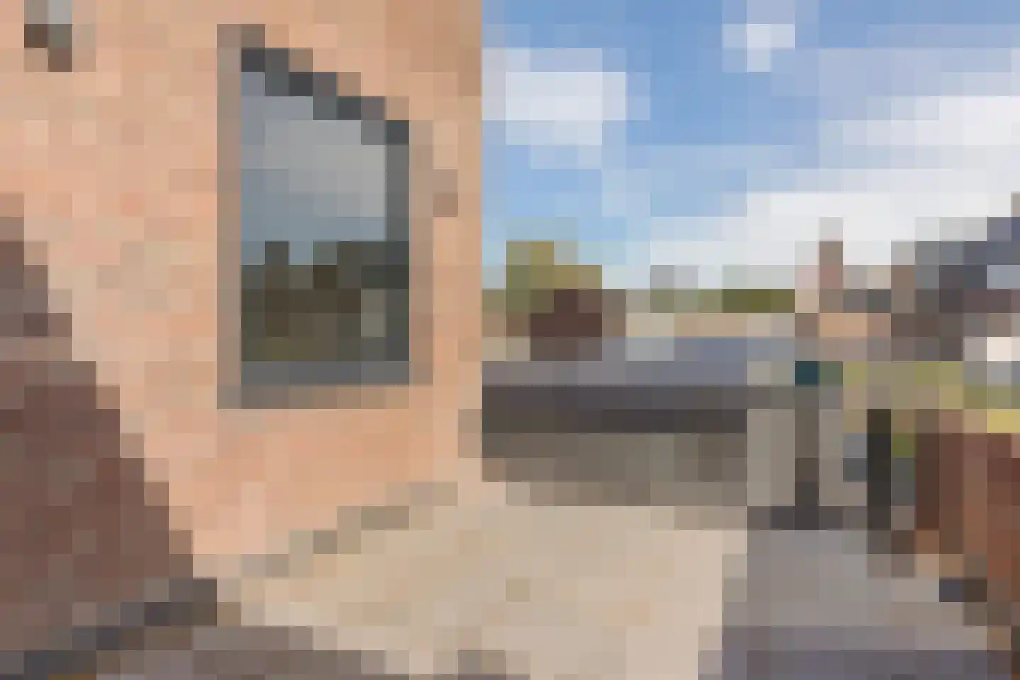 Rivierstraat 25 Eindhoven thumbnail 26