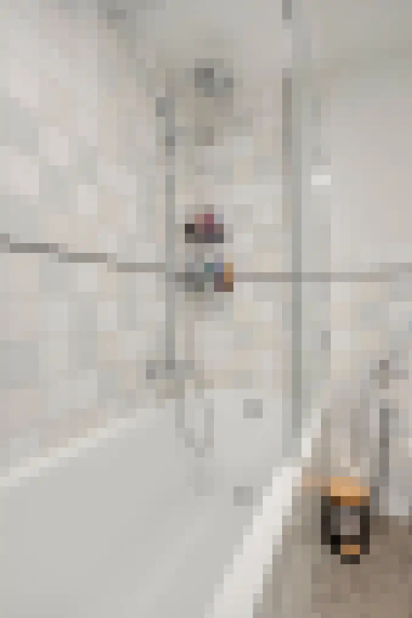 Rivierstraat 29 Eindhoven thumbnail 16