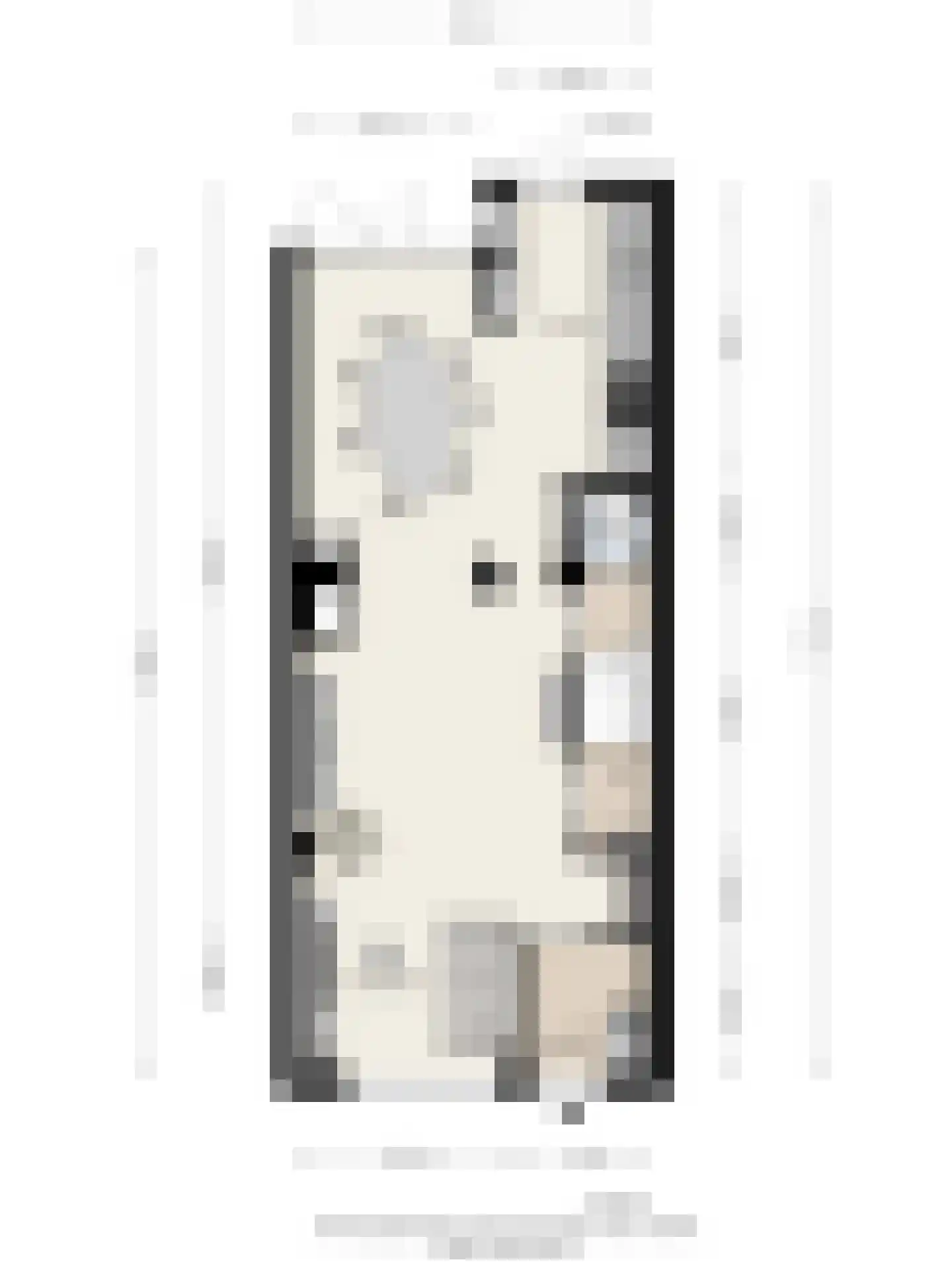Rivierstraat 29 Eindhoven thumbnail 31