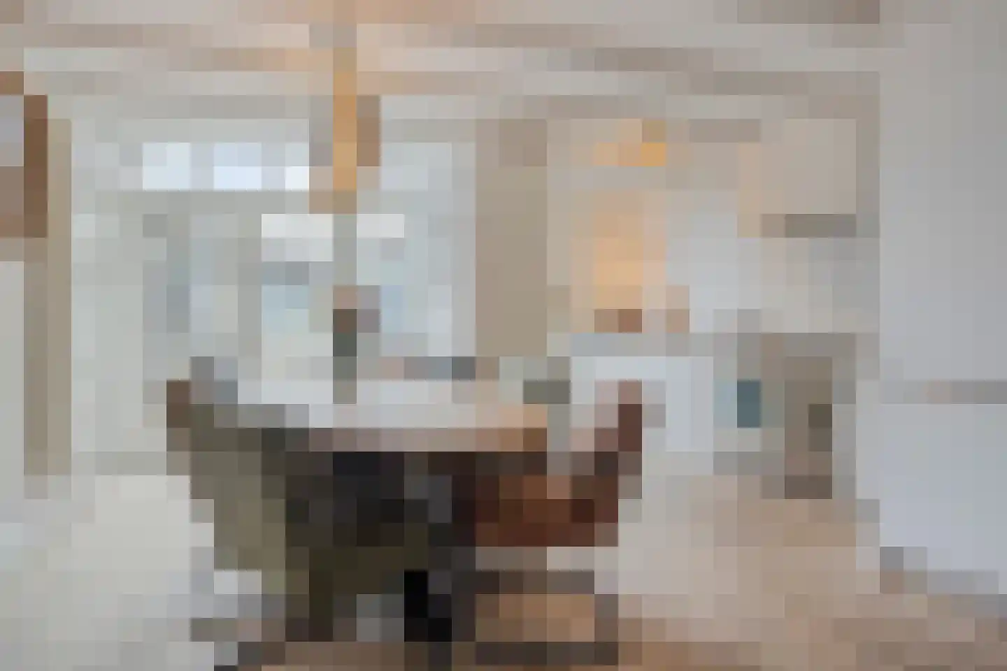 Rivierstraat 29 Eindhoven thumbnail 4
