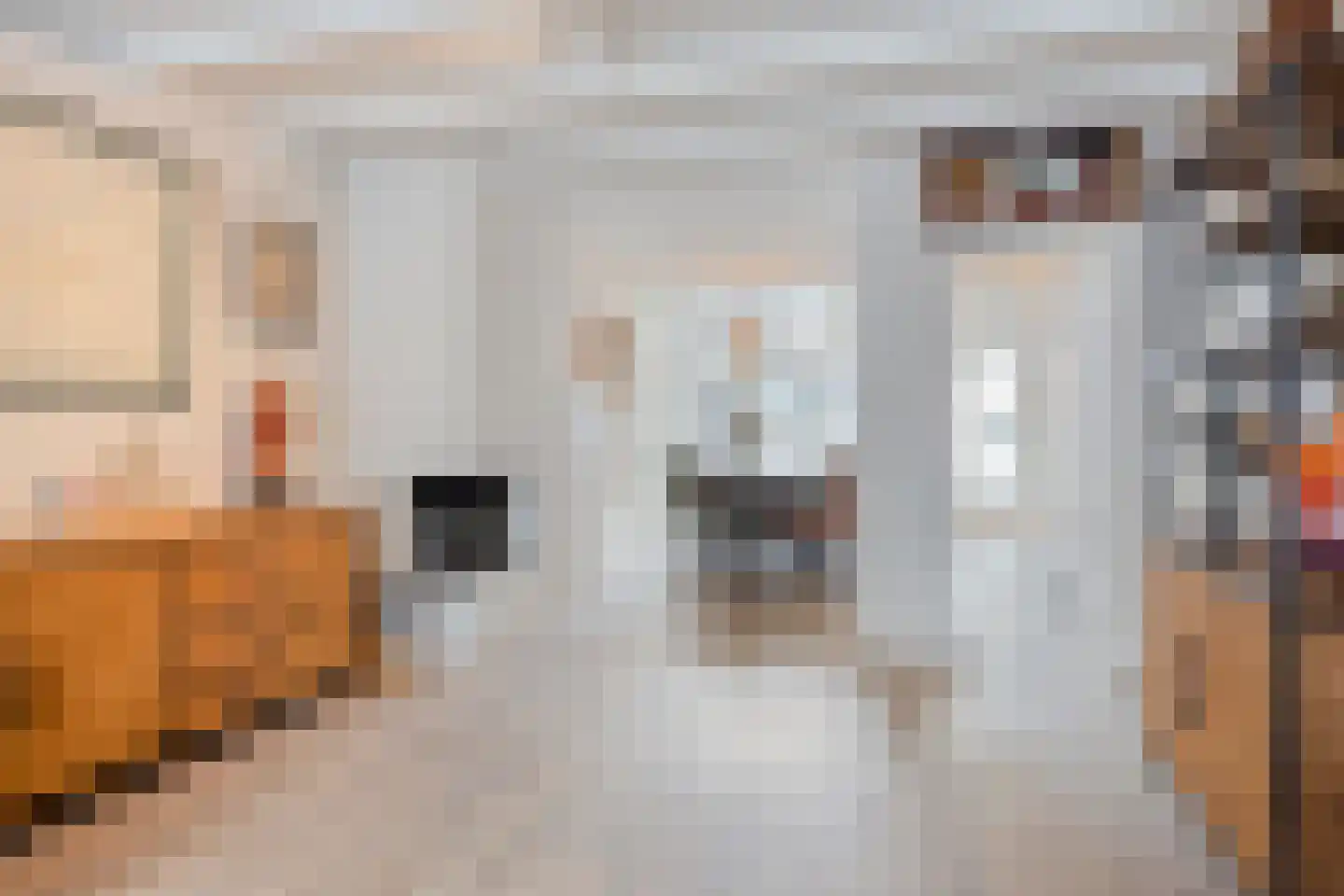 Rivierstraat 29 Eindhoven thumbnail 7