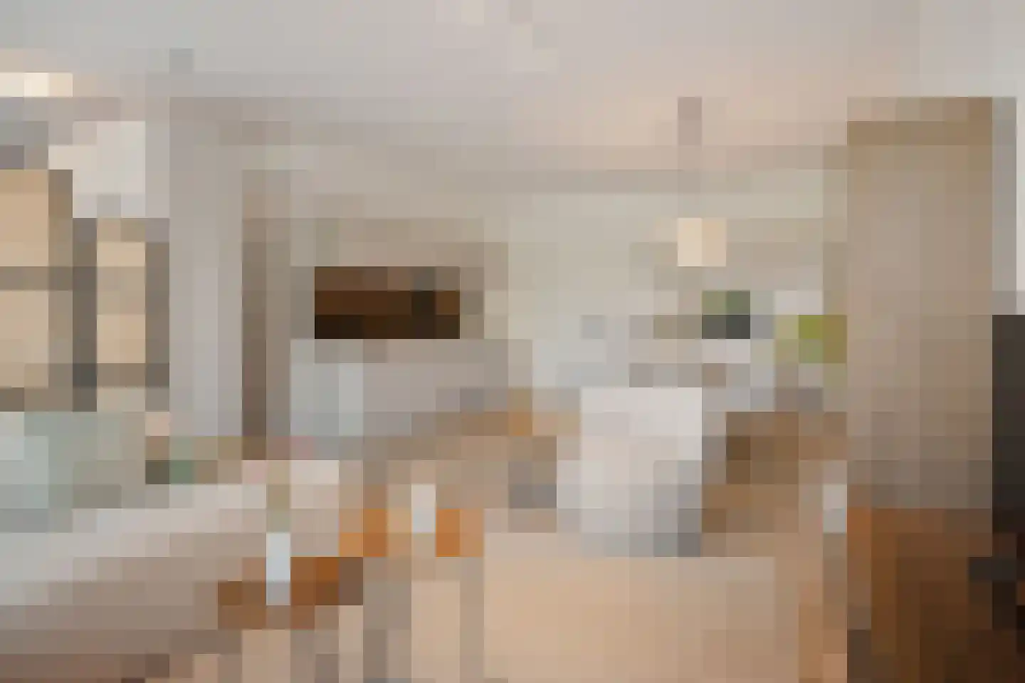 Rivium 1e straat 61 D Capelle aan den IJssel thumbnail 17