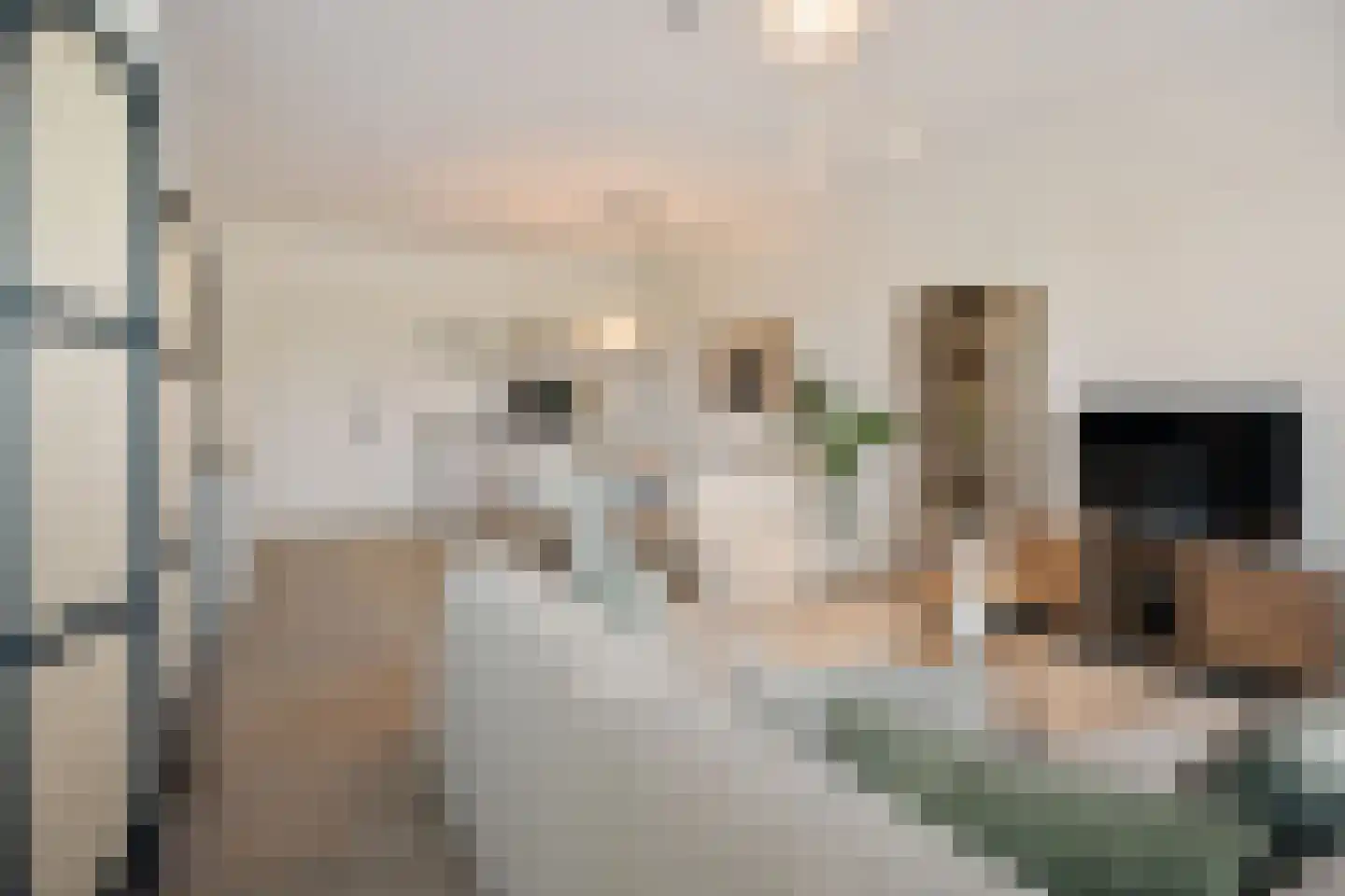 Rivium 1e straat 61 D Capelle aan den IJssel thumbnail 4