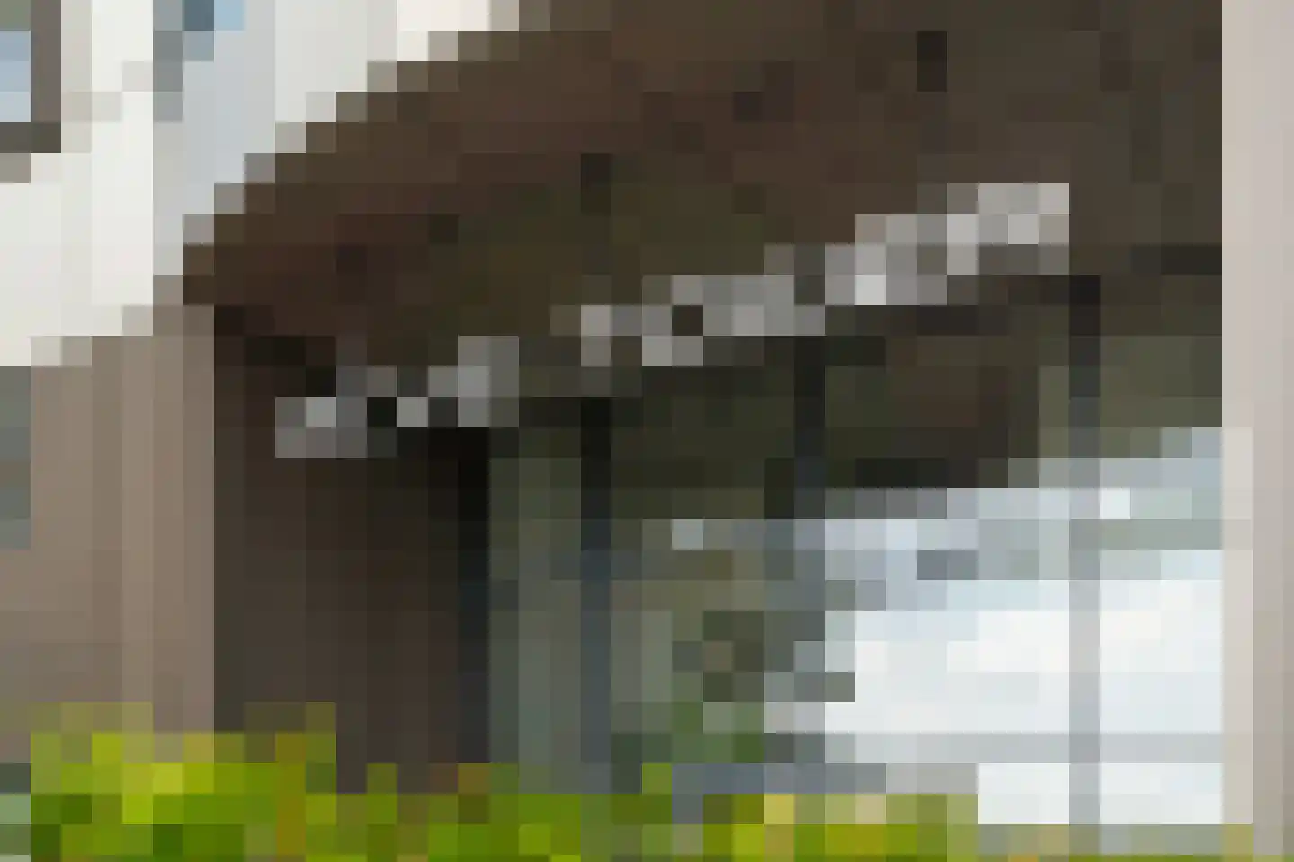 Rivium 1e straat 61 D Capelle aan den IJssel thumbnail 8
